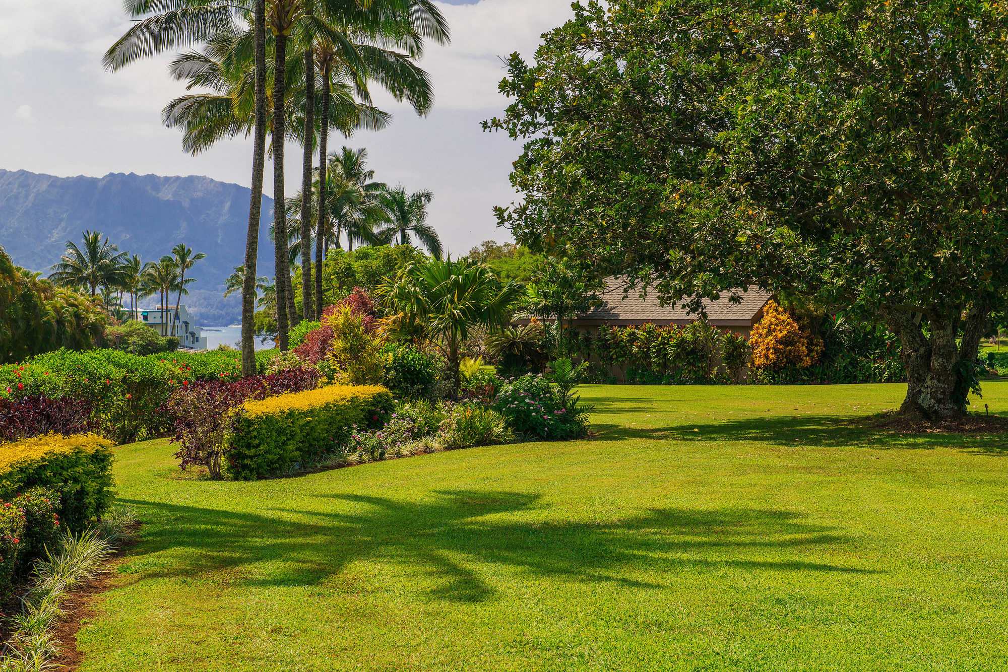 Princeville Oceanfront Villas Kauai Экстерьер фото